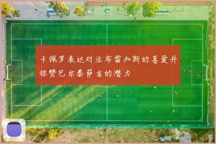 卡佩罗表达对法布雷加斯的喜爱并称赞巴尔泰萨吉的潜力