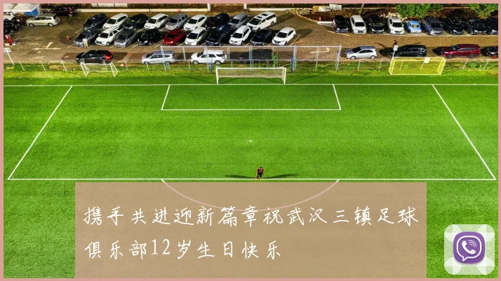 携手共进迎新篇章祝武汉三镇足球俱乐部12岁生日快乐