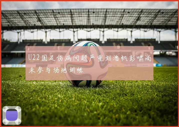 U22国足伤病问题严重刘浩帆彭啸尚未参与场地训练